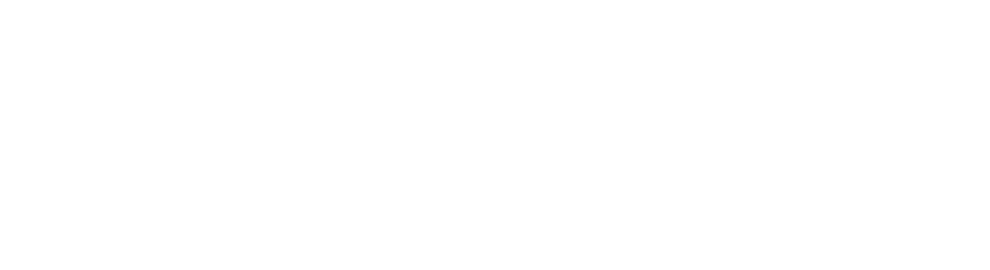 Cybersimulatie wit