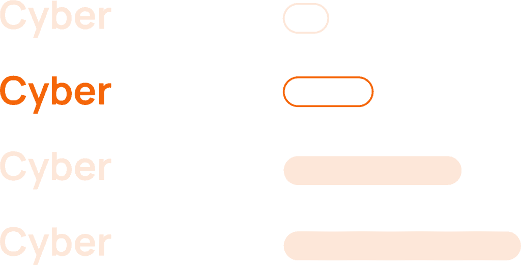 Cyberzeker Cyberinzicht