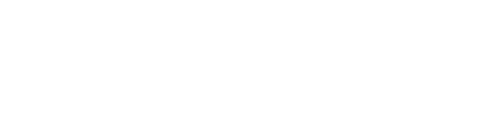 cybersimulatie